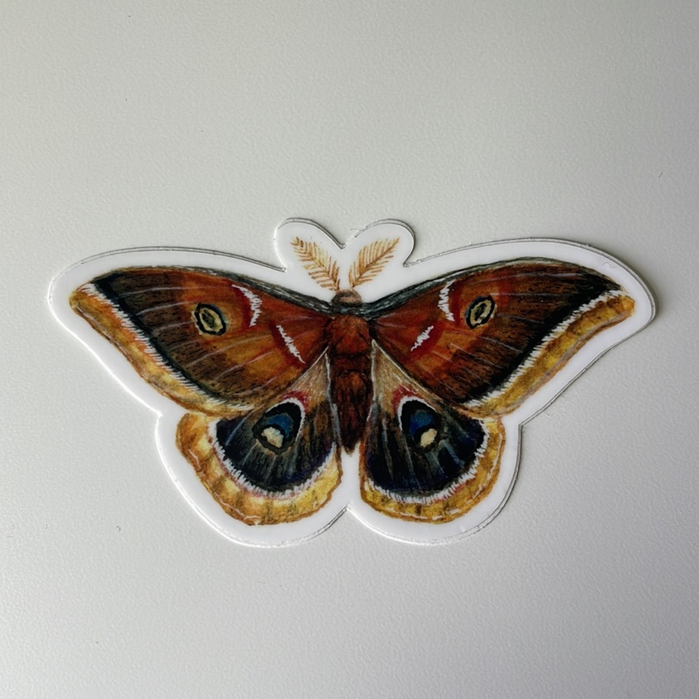 Butterfly sticker